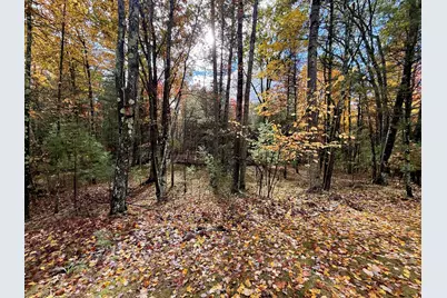 3973 E Creek Wood Drive, Chase, MI 49623 - Photo 47