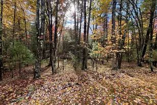 3973 E Creek Wood Dr, Chase, MI 49623 - Photo 47