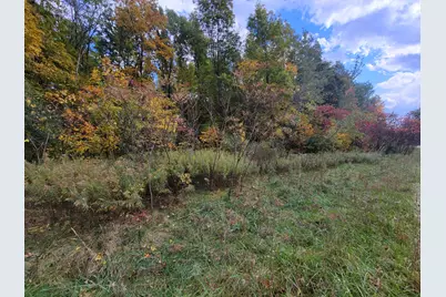 74016 Ridgeway Drive, Lawton, MI 49065 - Photo 3