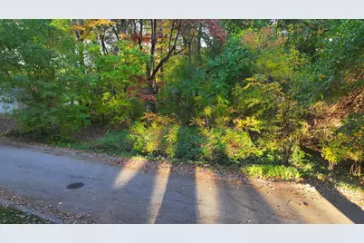V/L Brower Avenue NE, Rockford, MI 49341 - Photo 11