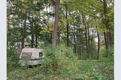 E Rossel Lake Road, Walkerville, MI 49459 - Photo 9