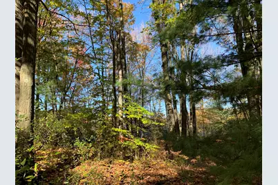 E Rossel Lake Road, Walkerville, MI 49459 - Photo 15