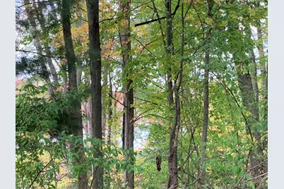 E Rossel Lake Road, Walkerville, MI 49459 - Photo 21
