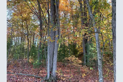 E Rossel Lake Road, Walkerville, MI 49459 - Photo 9