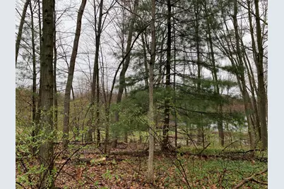 E Rossel Lake Road, Walkerville, MI 49459 - Photo 41