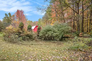 8020 E 98th Street E, Howard City, MI 49329 - Photo 43