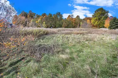 16151 Farmstone Street, Schoolcraft, MI 49087 - Photo 5