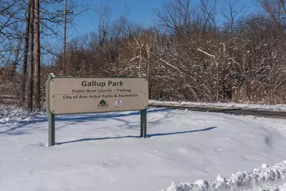 333 Riverview Drive, Ann Arbor, MI 48104 - Photo 77