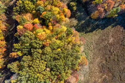 10790 14 Mile Road NE, Rockford, MI 49341 - Photo 13