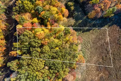 11333 Angel Woods Drive NE, Rockford, MI 49341 - Photo 15