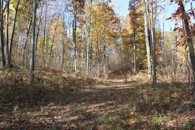 401 S Bass Lake Avenue, Harrison, MI 48625 - Photo 83