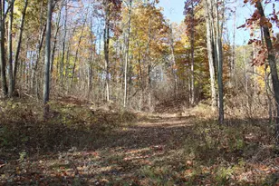 401 S Bass Lake Ave, Harrison, MI 48625 - Photo 83