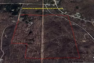 401 S Bass Lake Ave, Harrison, MI 48625 - Photo 59