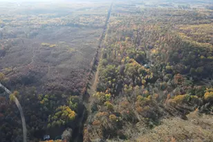 401 S Bass Lake Ave, Harrison, MI 48625 - Photo 61