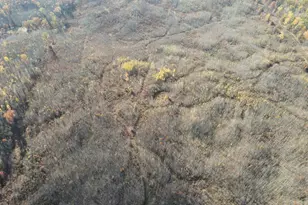 401 S Bass Lake Ave, Harrison, MI 48625 - Photo 63