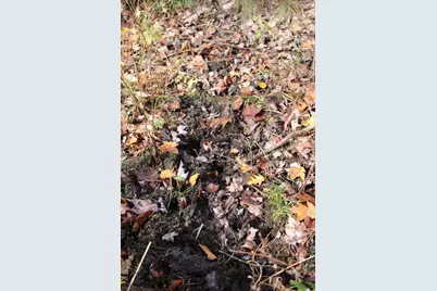 401 S Bass Lake Avenue, Harrison, MI 48625 - Photo 77