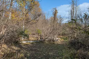 1021 Orchard Ave, South Haven, MI 49090 - Photo 27