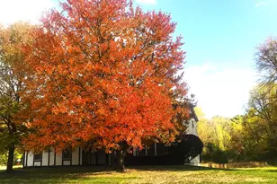 9625 Oakview Dr, Portage, MI 49024 - Photo 33