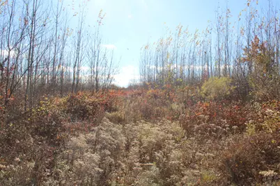 0Vl Harrison Railroad Grade, Harrison, MI 48625 - Photo 15