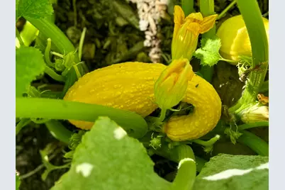 22942 M-43, Kalamazoo, MI 49009 - Photo 59