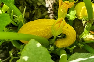 22942 M-43, Kalamazoo, MI 49009 - Photo 59