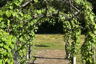 22942 M-43, Kalamazoo, MI 49009 - Photo 65