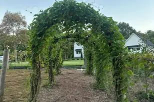 22942 M-43, Kalamazoo, MI 49009 - Photo 55