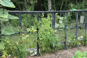 22942 M-43, Kalamazoo, MI 49009 - Photo 57