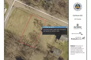 261 Parish St, Battle Creek, MI 49037 - Photo 1