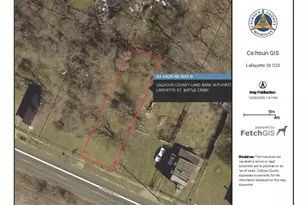 V/L Lafayette St, Battle Creek, MI 49037 - Photo 1