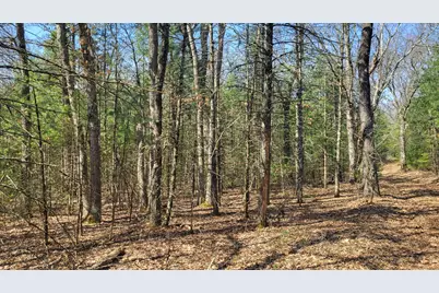 253 W Crystal Lake Road, Whitehall, MI 49461 - Photo 37