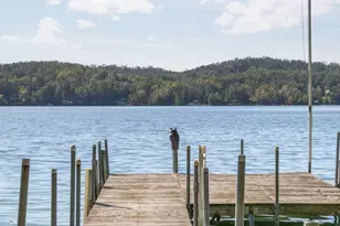 818 Whitfield View, Walloon Lake, MI 49796 - Photo 113