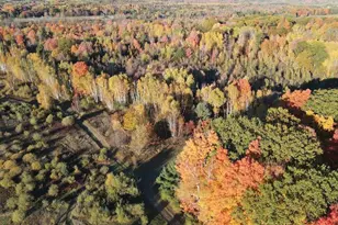 4116 Dutcher Rd, Gladwin, MI 48624 - Photo 73