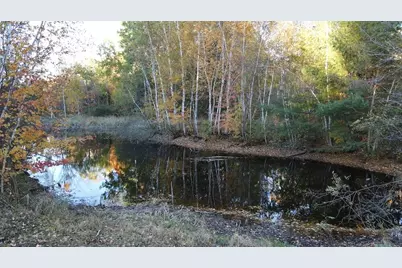 4116 Dutcher Road, Gladwin, MI 48624 - Photo 63