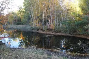 4116 Dutcher Rd, Gladwin, MI 48624 - Photo 63