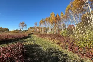 4116 Dutcher Rd, Gladwin, MI 48624 - Photo 117