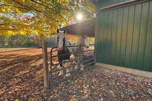 4116 Dutcher Rd, Gladwin, MI 48624 - Photo 105