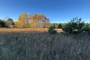 4116 Dutcher Rd, Gladwin, MI 48624 - Photo 119