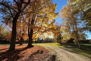 4116 Dutcher Rd, Gladwin, MI 48624 - Photo 93