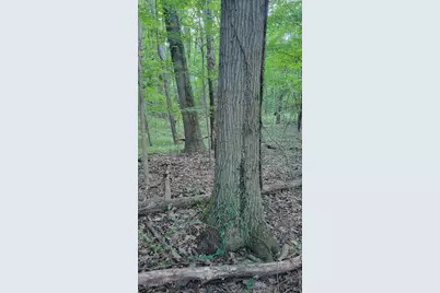 44702 56th Avenue, Paw Paw, MI 49079 - Photo 25
