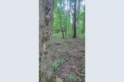 44702 56th Avenue, Paw Paw, MI 49079 - Photo 23