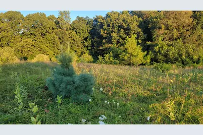 44702 56th Avenue, Paw Paw, MI 49079 - Photo 19