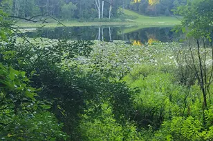 44702 56th Ave, Paw Paw, MI 49079 - Photo 1