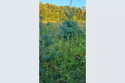 44702 56th Avenue, Paw Paw, MI 49079 - Photo 13