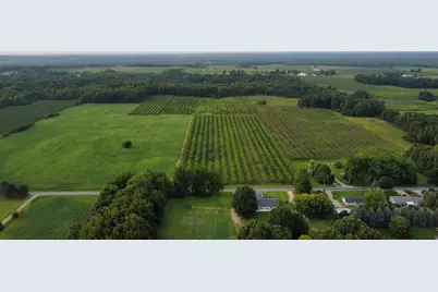 44702 56th Avenue, Paw Paw, MI 49079 - Photo 1