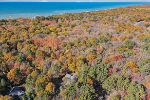 2335 Forest Trail Cir, Fennville, MI 49408 - Photo 53