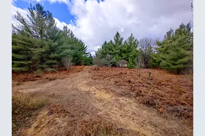 Vl Mancelona Road, Mancelona, MI 49659 - Photo 21