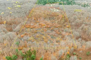 Vl Mancelona Rd, Mancelona, MI 49659 - Photo 1