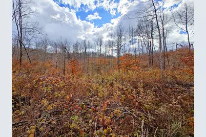 Vl Mancelona Road, Mancelona, MI 49659 - Photo 9