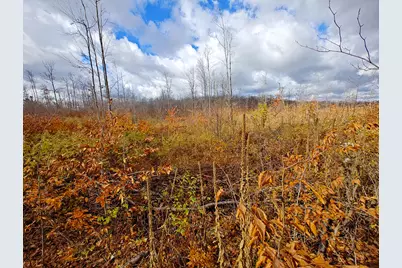 Vl Mancelona Road, Mancelona, MI 49659 - Photo 15